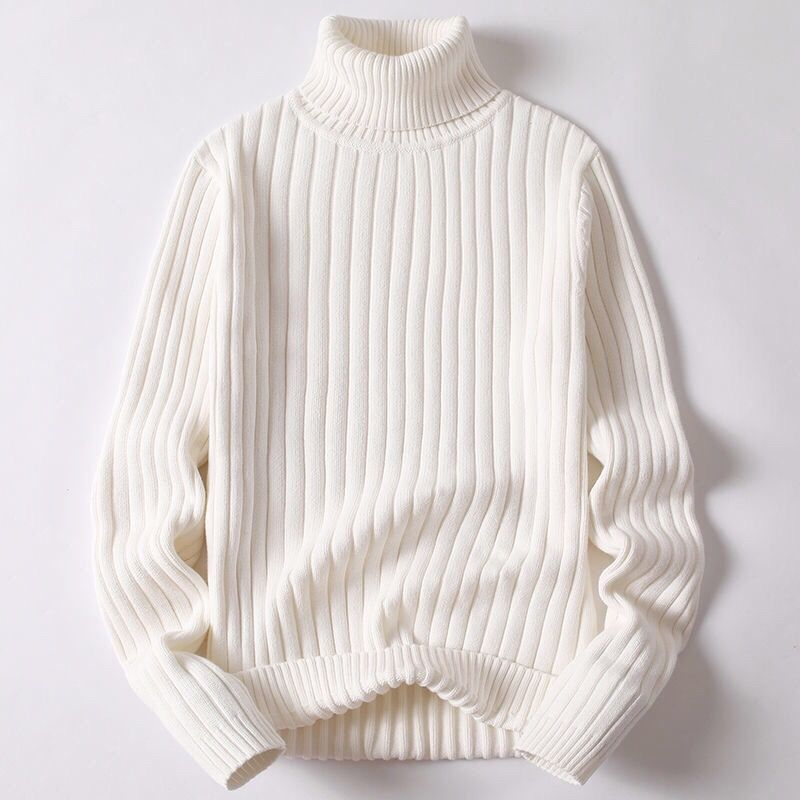 Vincénzio Merino Ace Wool Turtleneck